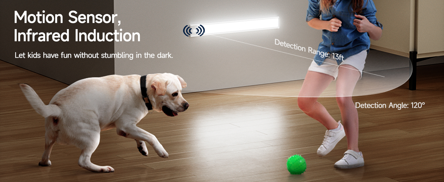 Motion Sensor Light Indoor
