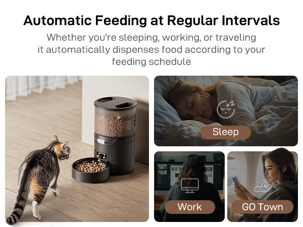 automatic catfood dispenser