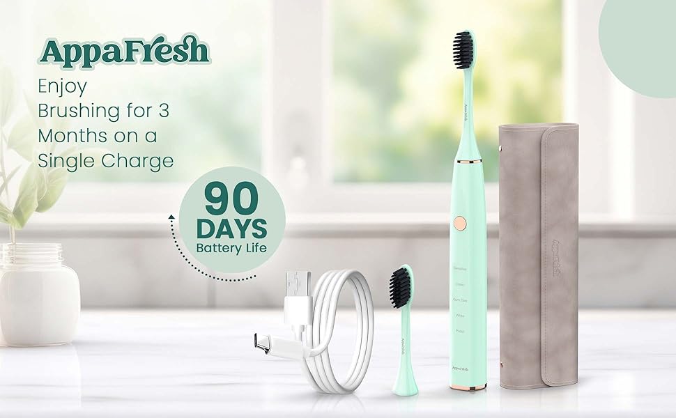 Burshing for 3 months on a single charge