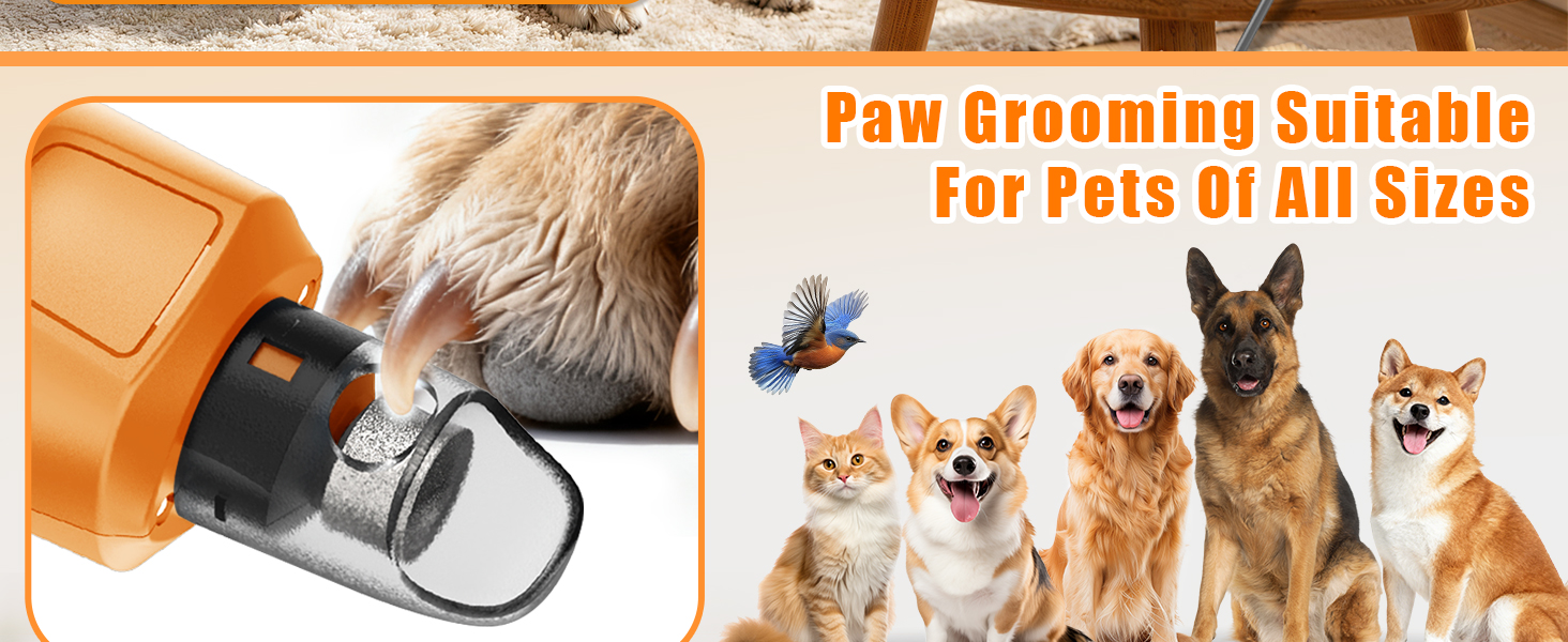 dog nail grinder