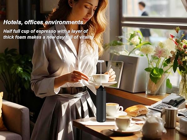 Drink Mixer Handheld