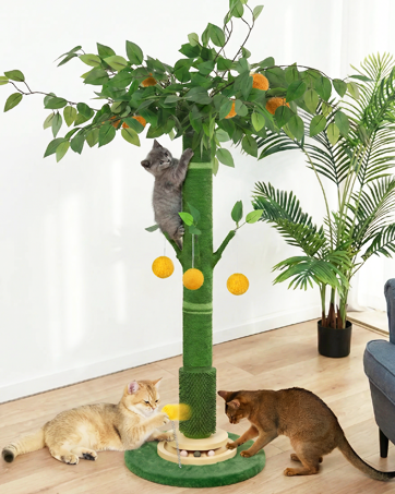 cat scratching posts