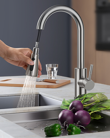 kitchen faucet with pull down sprayer