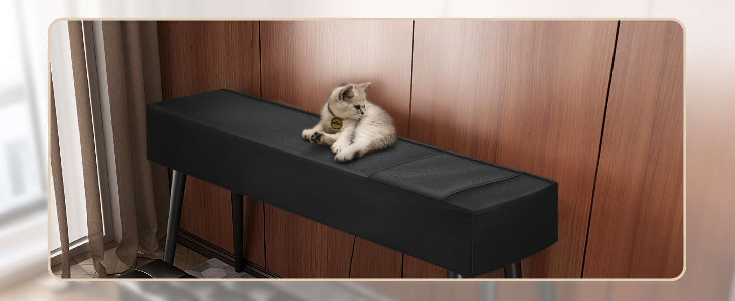 Prevent stains?dust and pet paw marks