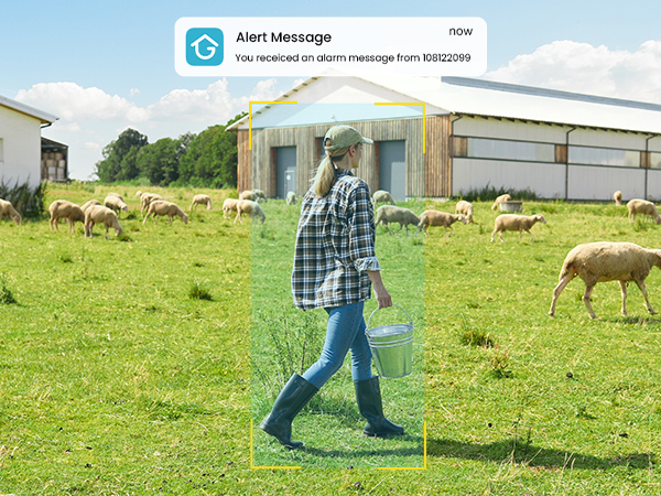 cameras with no wifi needed