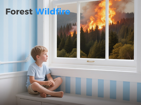 Air Purifiers for Smoke