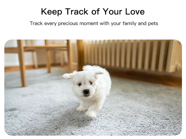 dog cam with phone app, dog cam with audio and video, dog cam with speaker