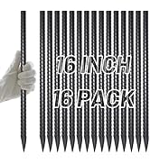 AAGUT 16 Inch Rebar Stakes Heavy Duty 16 Pack 3/8" Diameter Landscape Timber Spikes, Straight Sta...