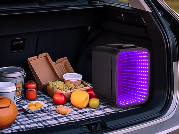 Mini Fridge Small Refrigerator Portable Thermoelectric Cooler and Warmer Fridge