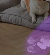 UV01 365nm UV Flashlight Black Light, USB Rechargeable High Power Blacklight Flashlight, Professi...