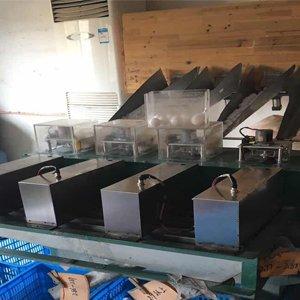 automatic weight detection