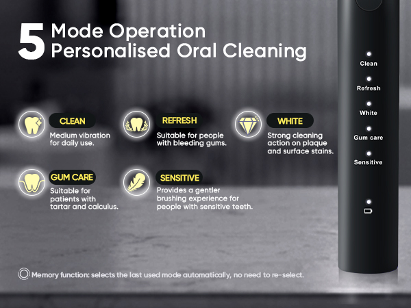 somic tooth brush heads