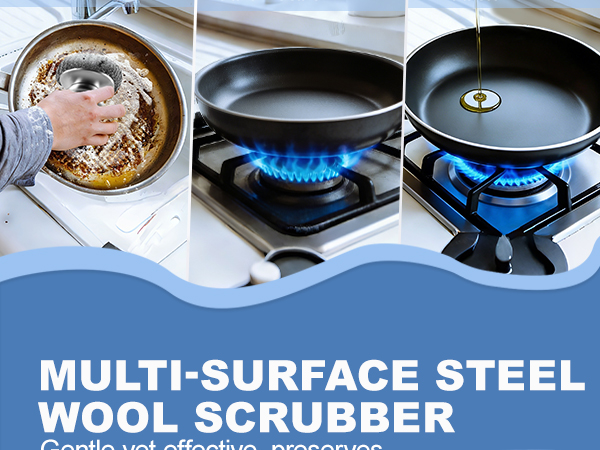 steel wool scrubber