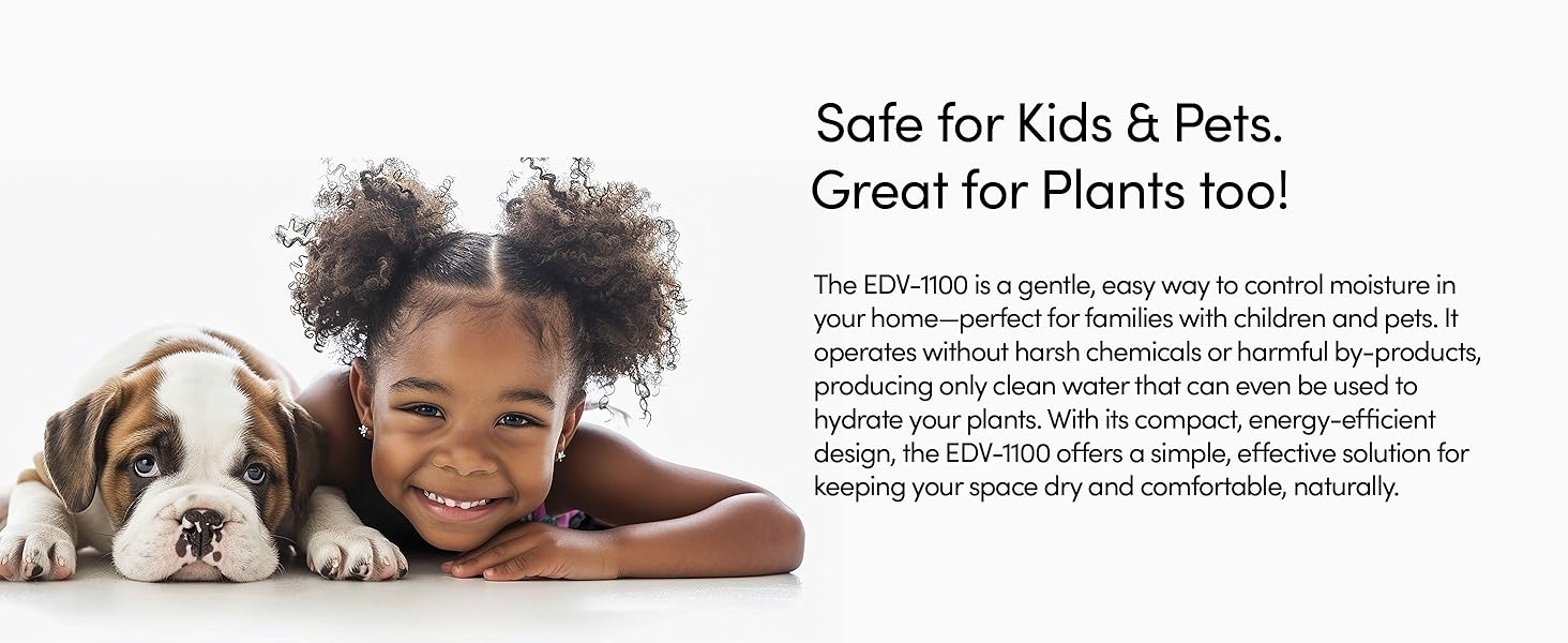 Eva-Dry EDV-1100 Petite dehumidifier. Safe for Kids and Pets.