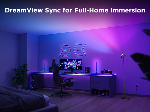 Full-Home DreamView