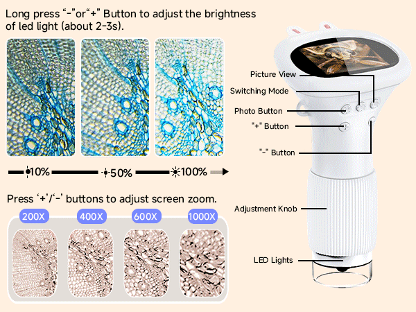 Microscope for Kids