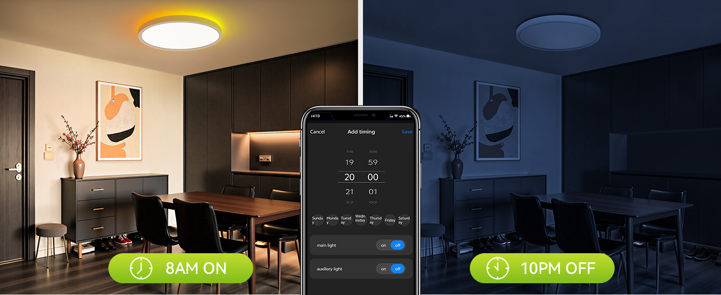 ceiling light fixture