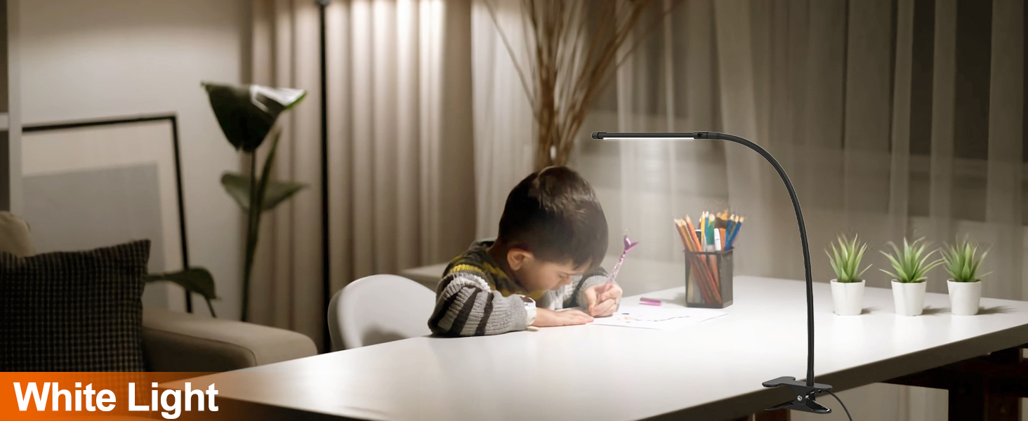 Desk Lamps for Office Home