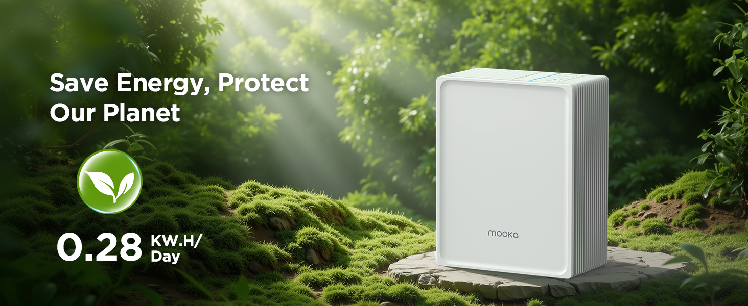 air purifiers for home