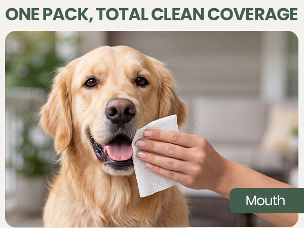 Bark &amp;amp; Clean