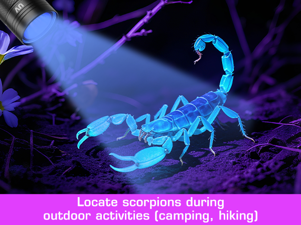 Locate scorpions during outdoor activities (camping, hiking) with this black light flashlight