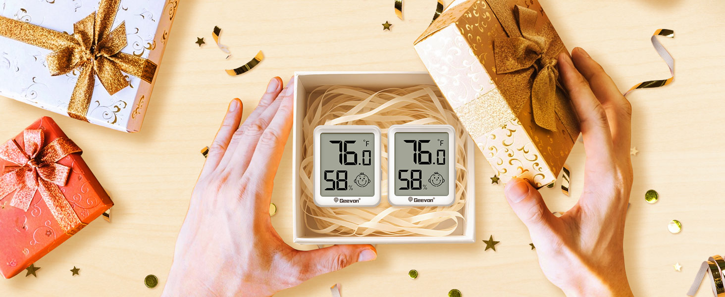 thermometer hygrometer