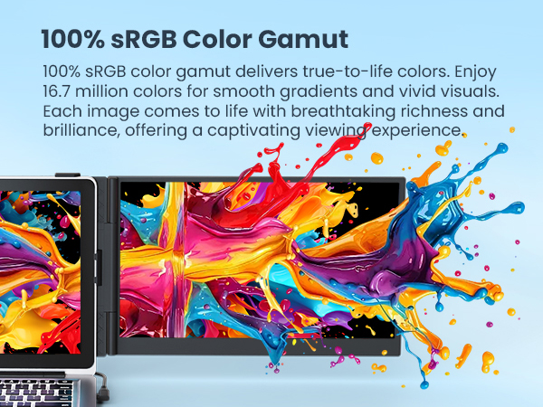 100% sRGB Color Gamut