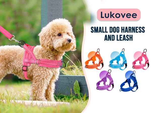 Walking Dog Harness and Leash Set