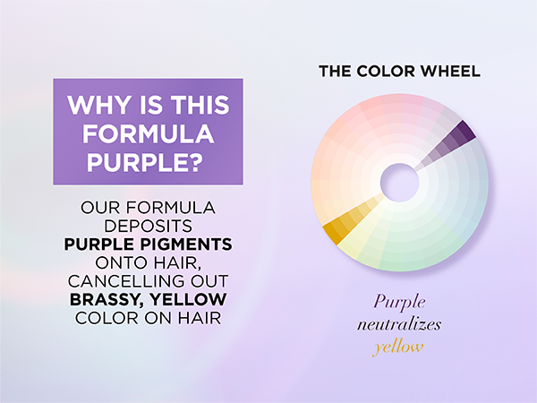 everpure purple