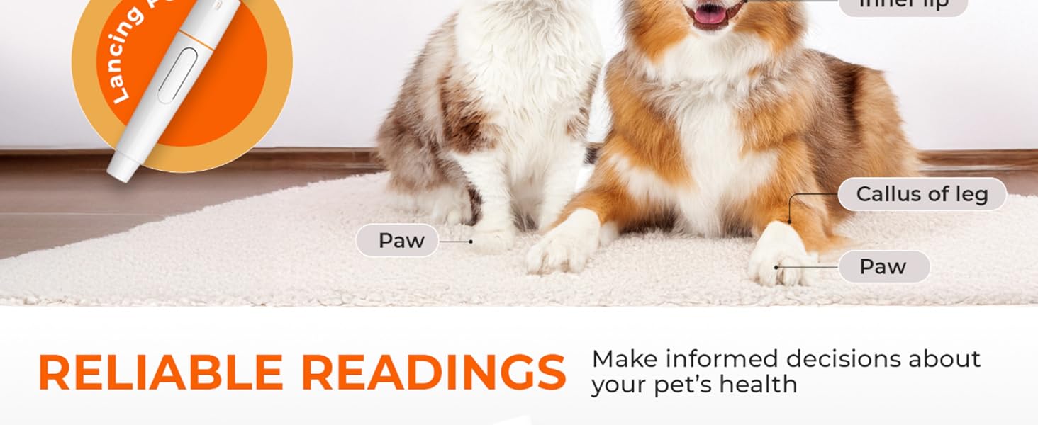 dog diabetes testing kit diabetic cat glucometer for dogs dog glucose meter glucose meter for dogs