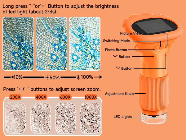 Microscope for Kids