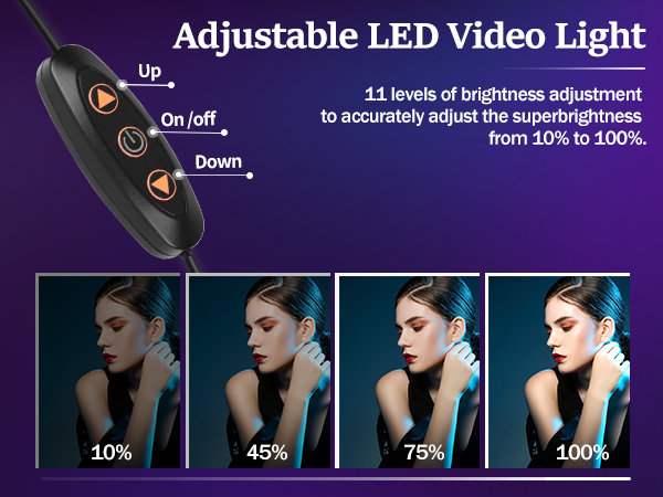 Adjustable LED Video Light
