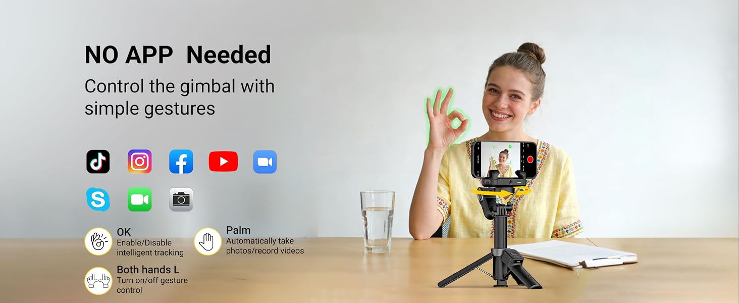 Gesture Control