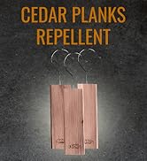 Dr. Killigan's Cedar Planks - Cedar Blocks for Clothes Storage, Alternative to Moth Balls for Clo...