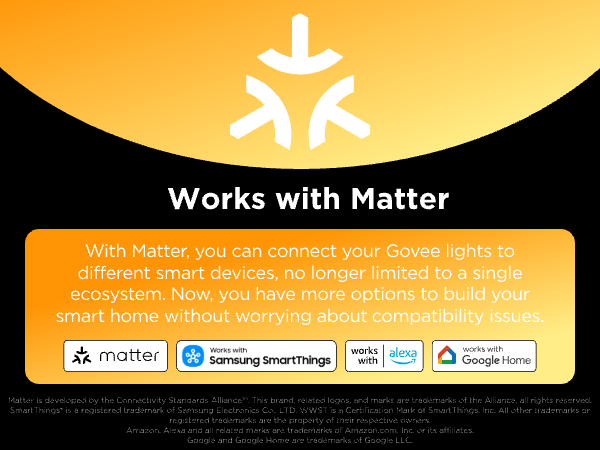 matter bulb