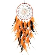 WisePoint Dream Catcher, Handmade Dream Catcher Wall Decor with Feathers and Beads, Dreamcatchers...