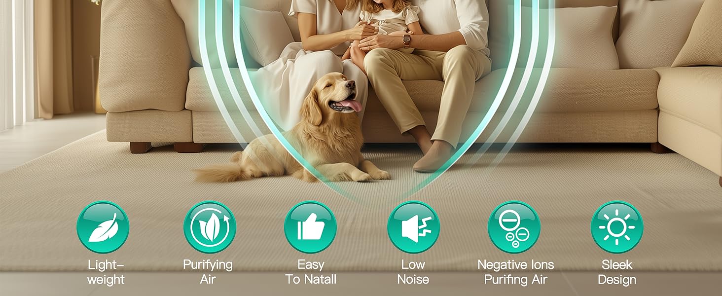 Plug-In Negative Ion Air Ionizers