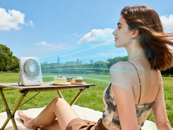 portable fan for cruise