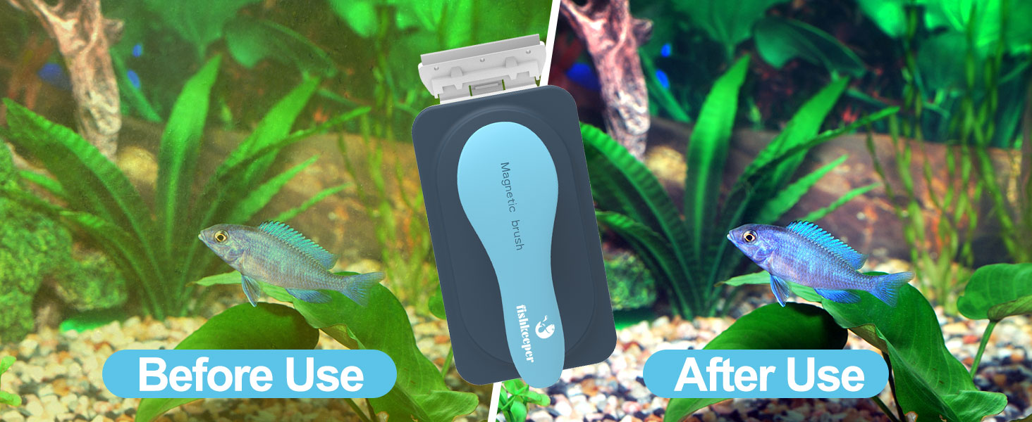 algae scraper for glass aquariums