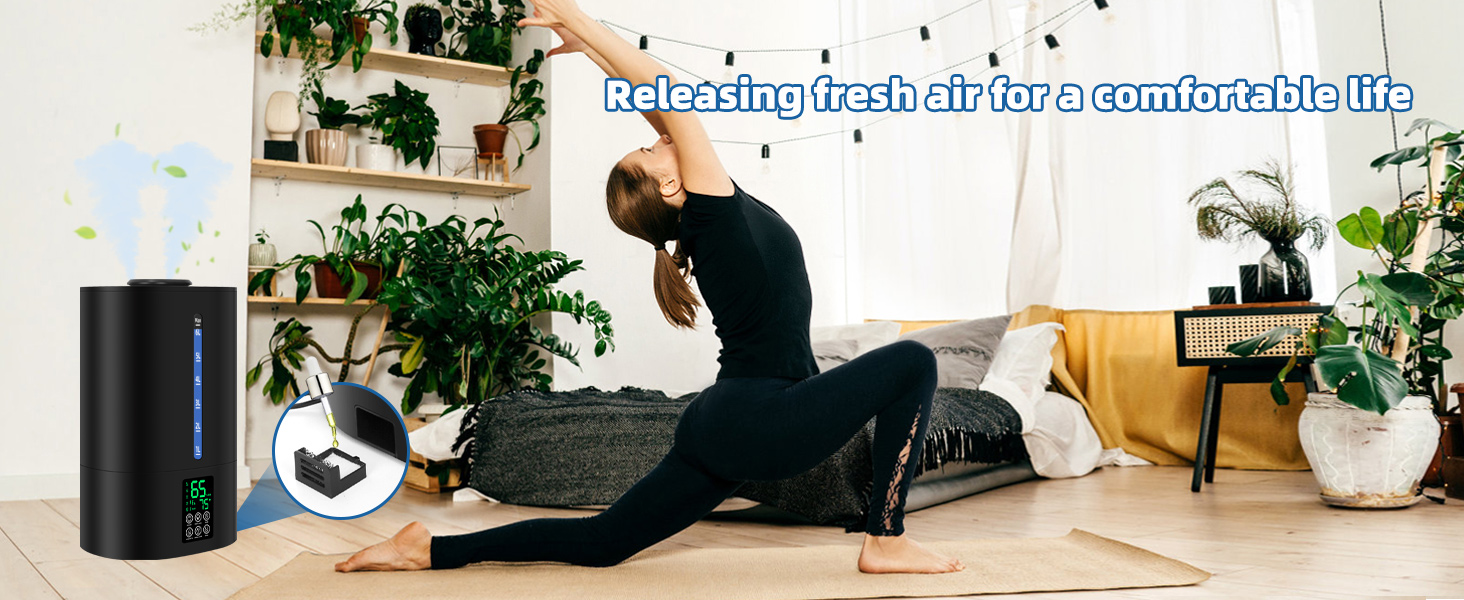 Humidifiers With Essential Oil Diffuser