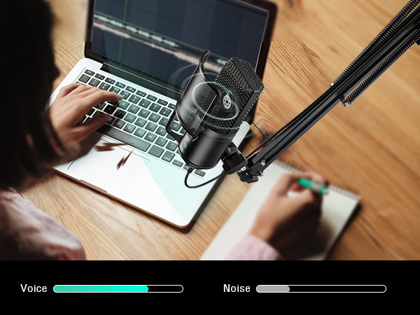 cardioid polar pattern mic