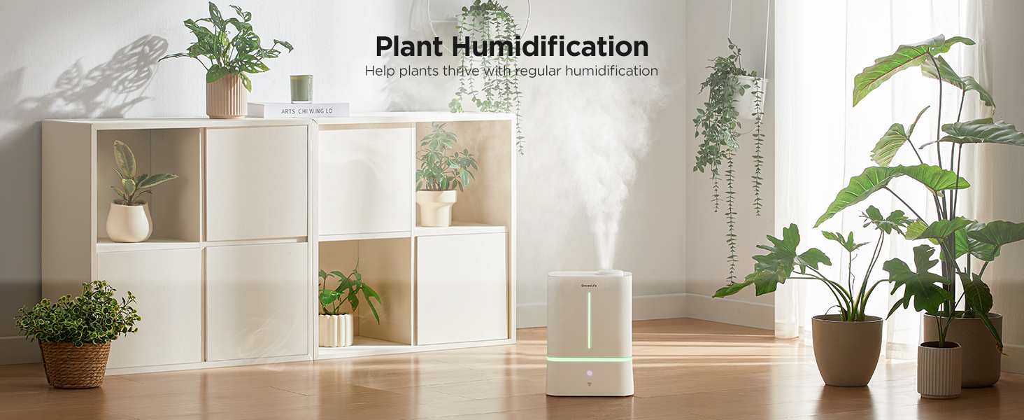 plant humidification
