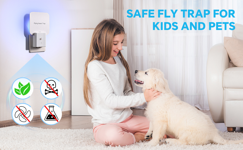 fruit fly traps for indoors