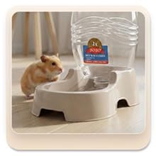 Multi-pet home setup showing separate areas for dog water and smaller pets.