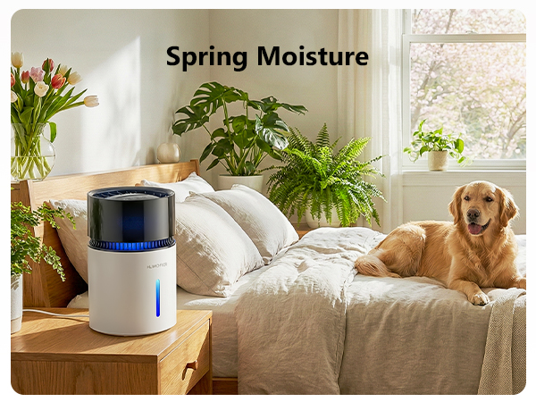 Mist-Free Evaporative Humidifier