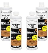Robelle 2550-04 Mineral Out Stain Remover for Swimming Pools, 1-Quart, 4-Pack