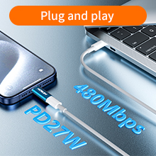 usb c to lightning adapter