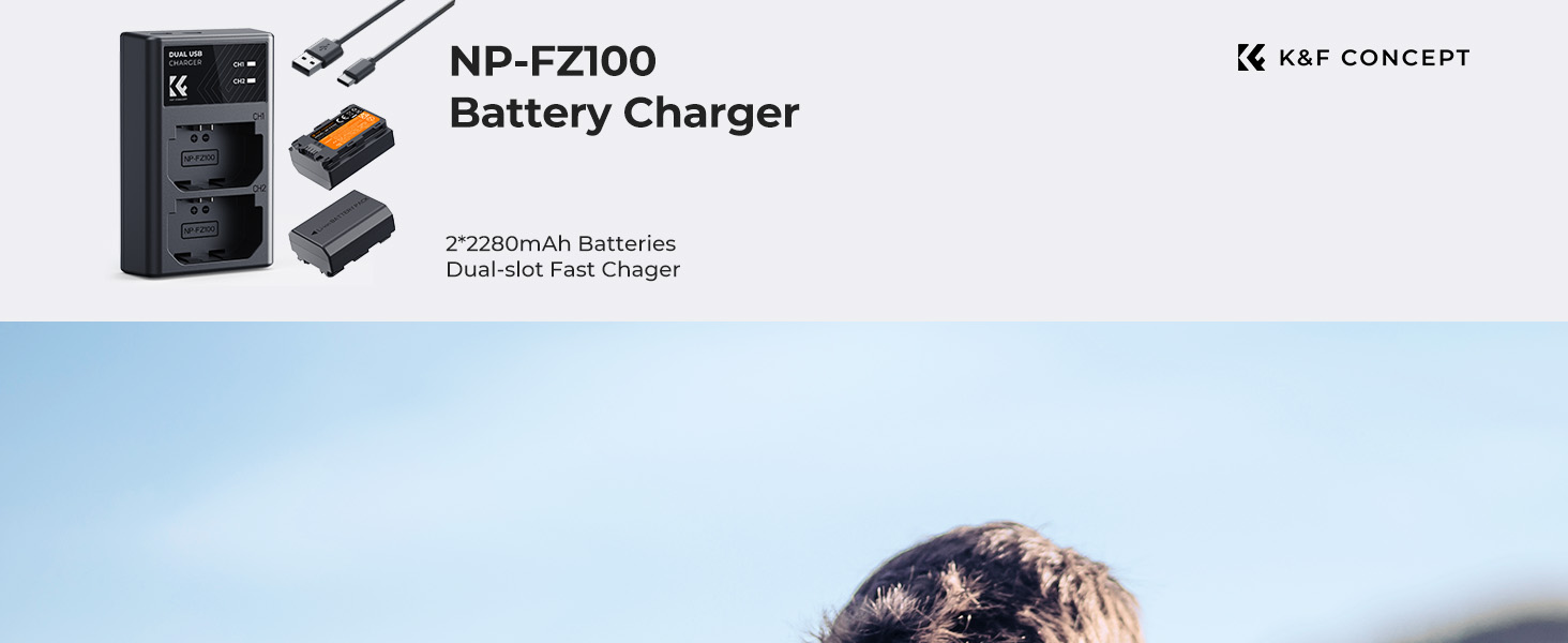 NP-FZ100 battery and charger
