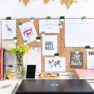 Cute Succulent Plants Decorative Push Pins Colorful Floret Thumbtacks for Photo Wall, Feature Wall