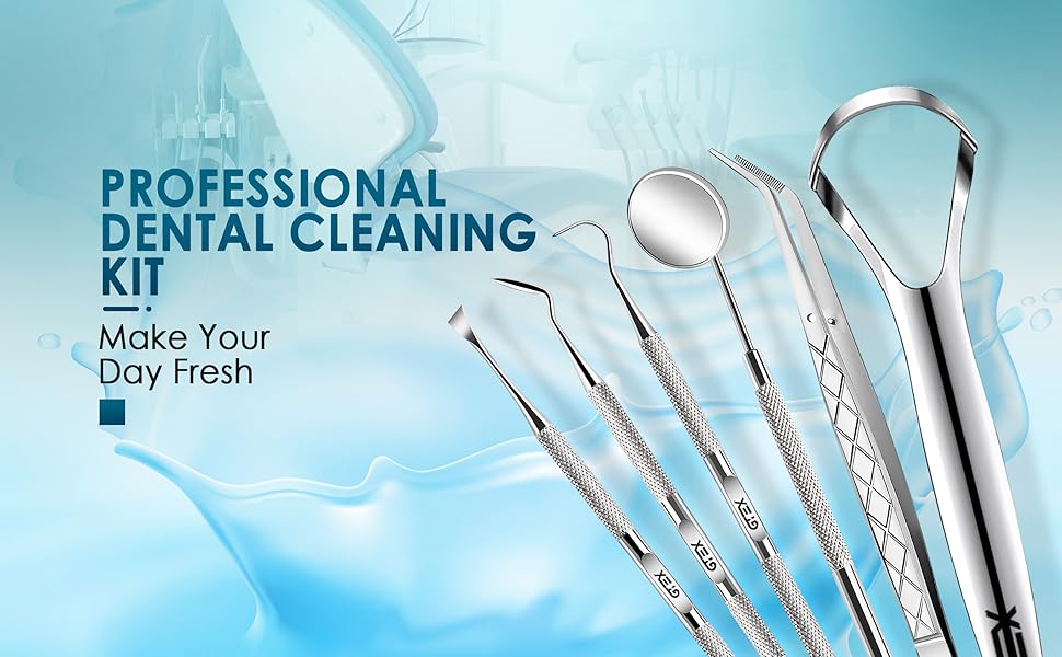 dental picks stainless steel professional